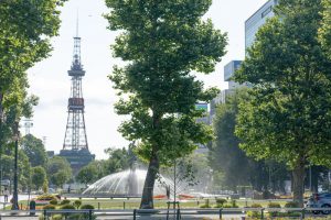 【北海道】人気観光スポットランキングTOP10！人気の観光地は？
