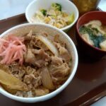【すき家】人気メニューランキングTOP9！好きなメニューは？