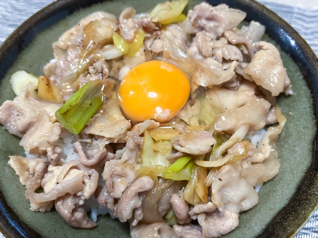 【伝説のすた丼屋】人気メニューランキングTOP9！