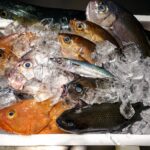 【好きな魚】ランキングTOP9！人気の美味しい魚といえば？