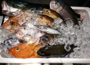 【好きな魚】ランキングTOP9！人気の美味しい魚といえば？