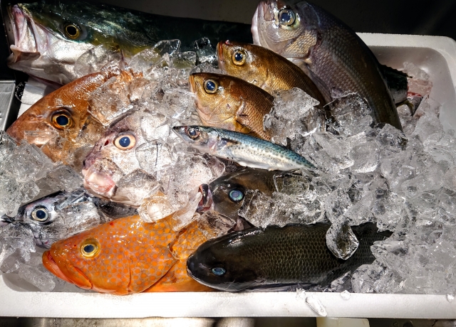 【好きな魚】ランキングTOP9！人気の美味しい魚といえば？